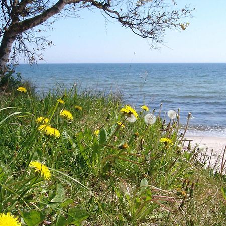 Ystad Camping Esterno foto