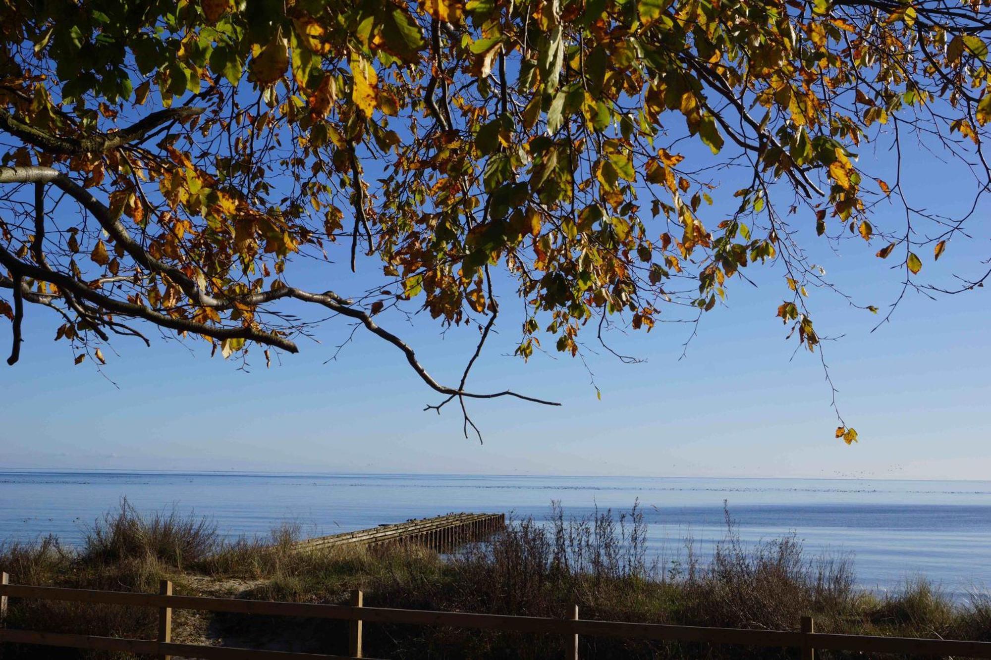 Ystad Camping Esterno foto