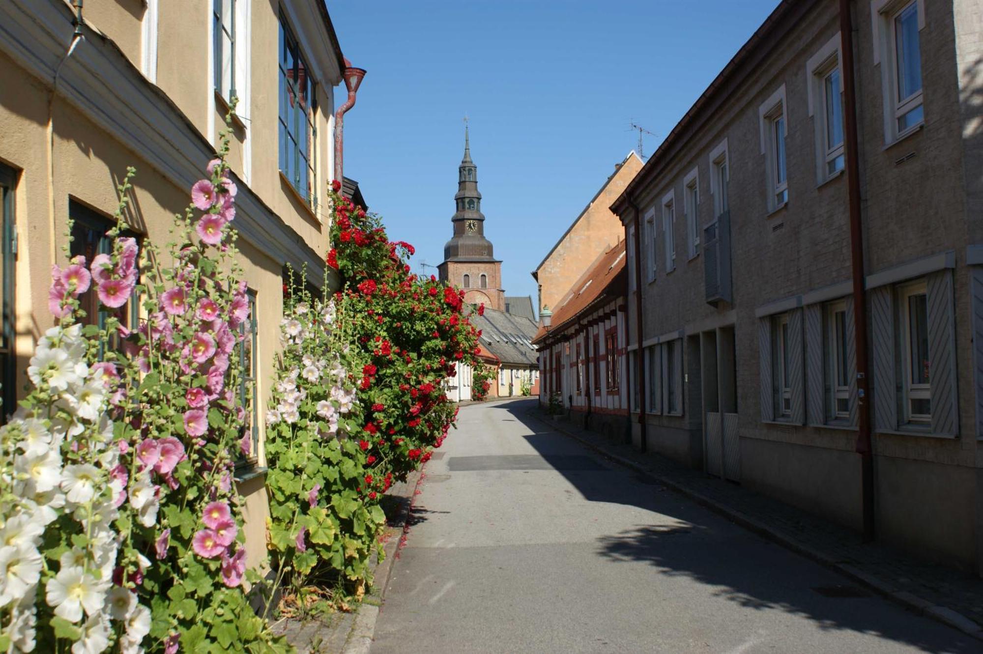 Ystad Camping Esterno foto