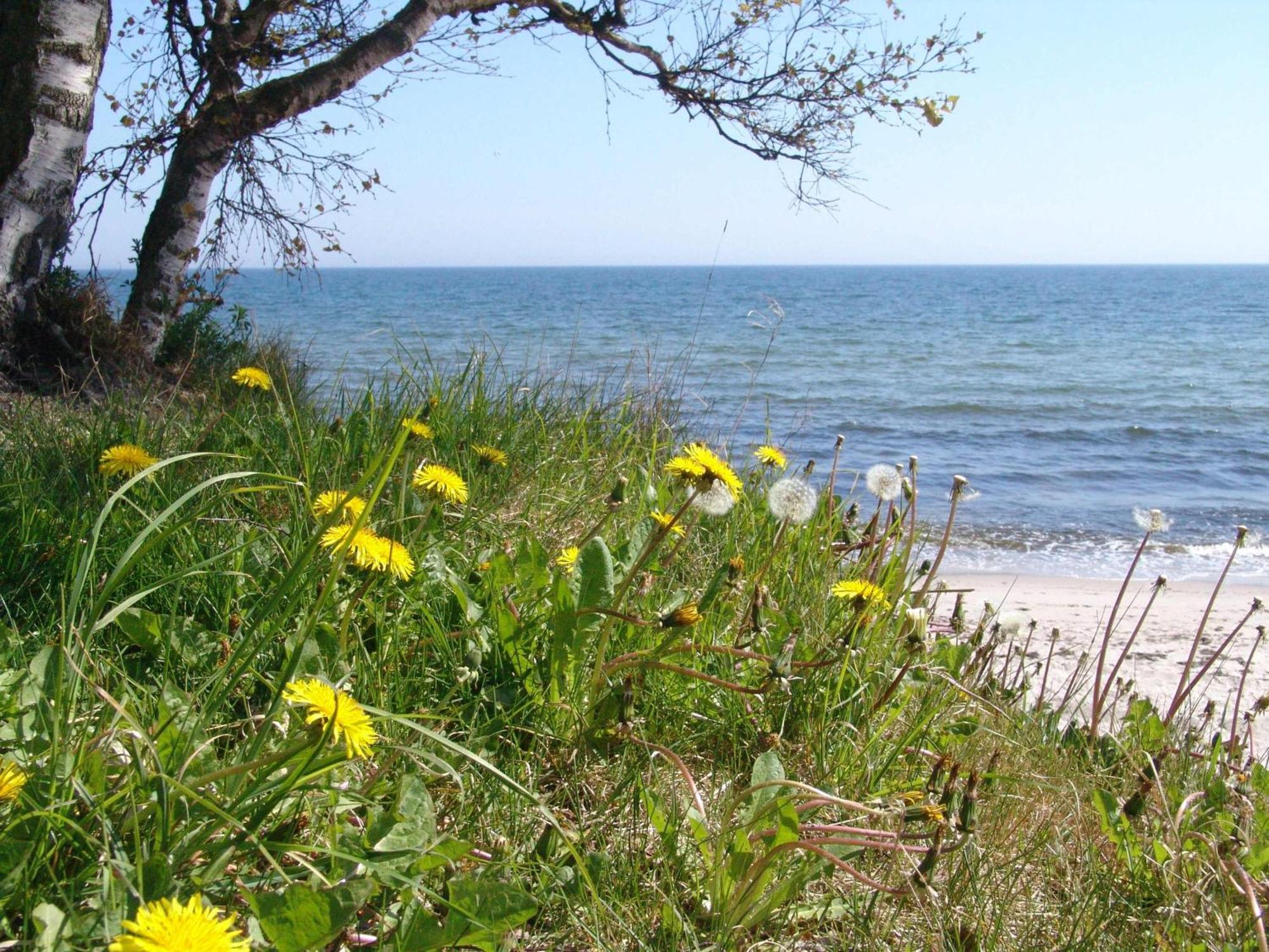 Ystad Camping Esterno foto